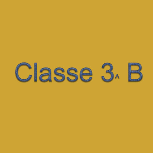 Classe 3a B Cusercoli